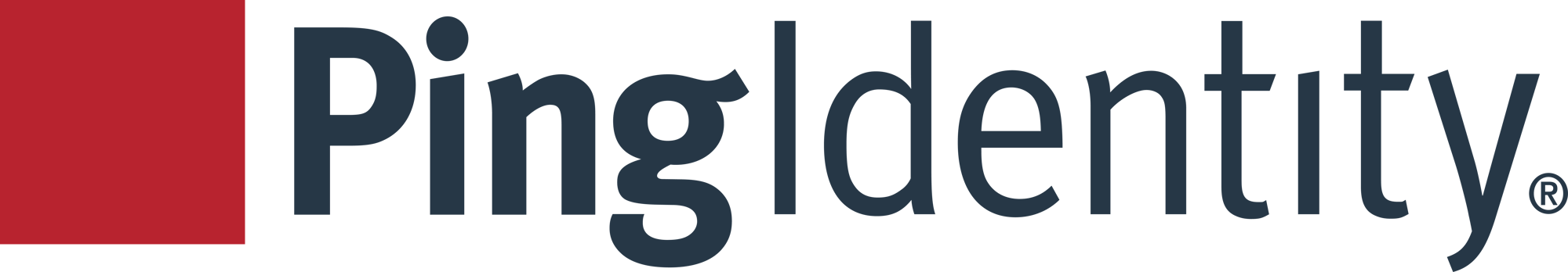 Ping Identity horizontal at 1000mm_RGB